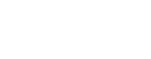 Virtualex Holdings